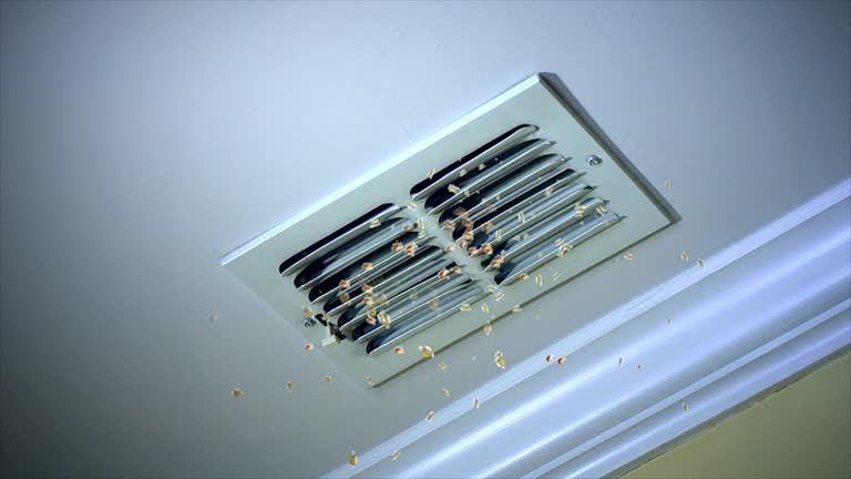 Best Air Duct Cleaning Near Me  in Davis, OK
